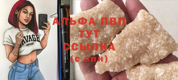 стаф Медвежьегорск