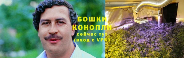 стаф Медвежьегорск