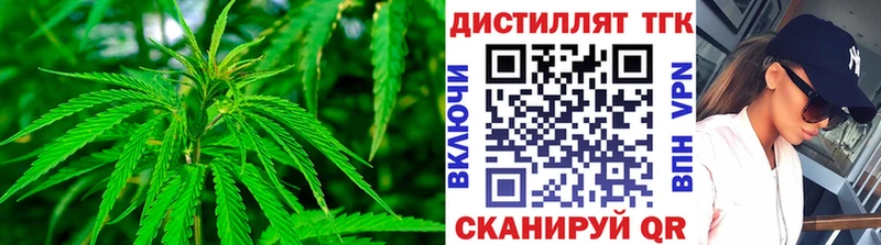 закладка  Алзамай  Дистиллят ТГК Wax 